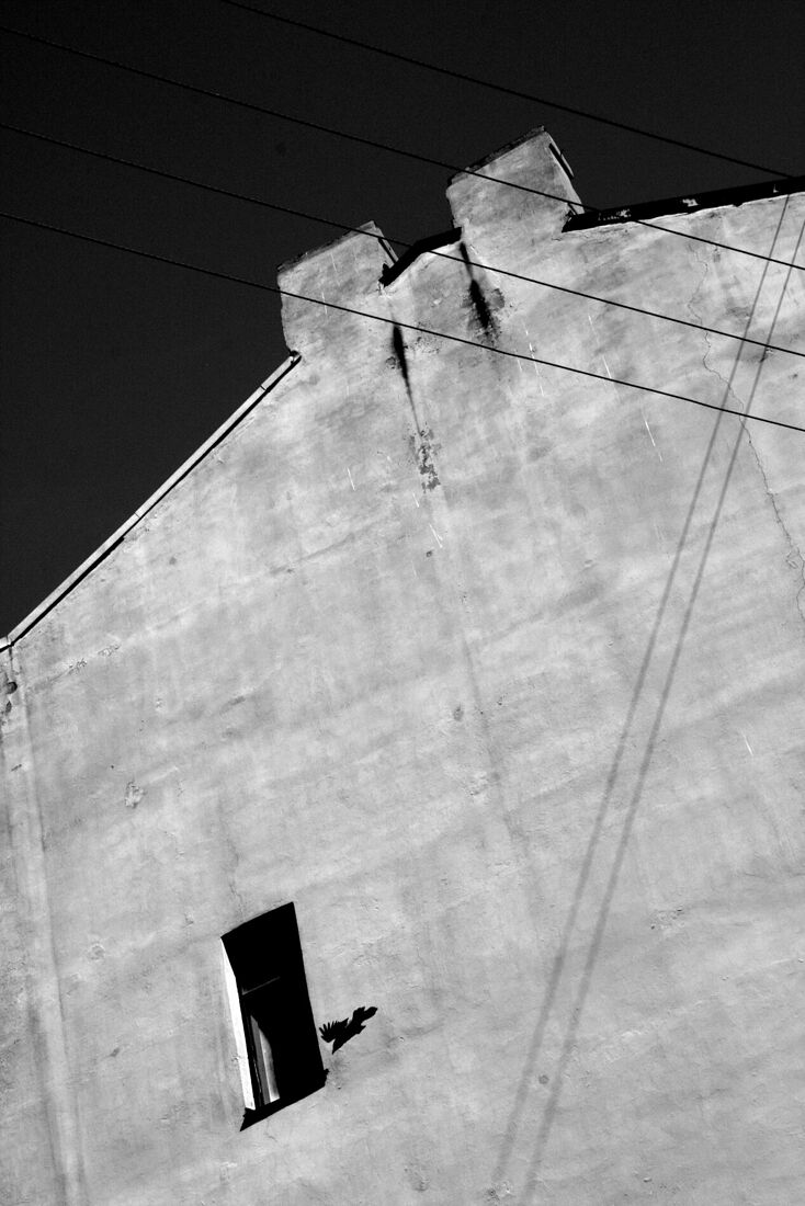 Фотография находится в коллекции Государственного Русского музея (Санкт-Петербург) и в Госкаталоге Музейного фонда РФ.